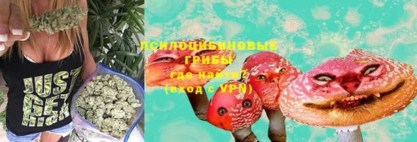 каннабис Арсеньев