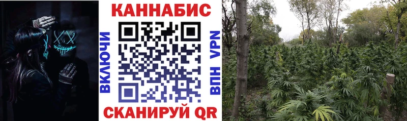 Бошки Шишки гибрид  Балей 